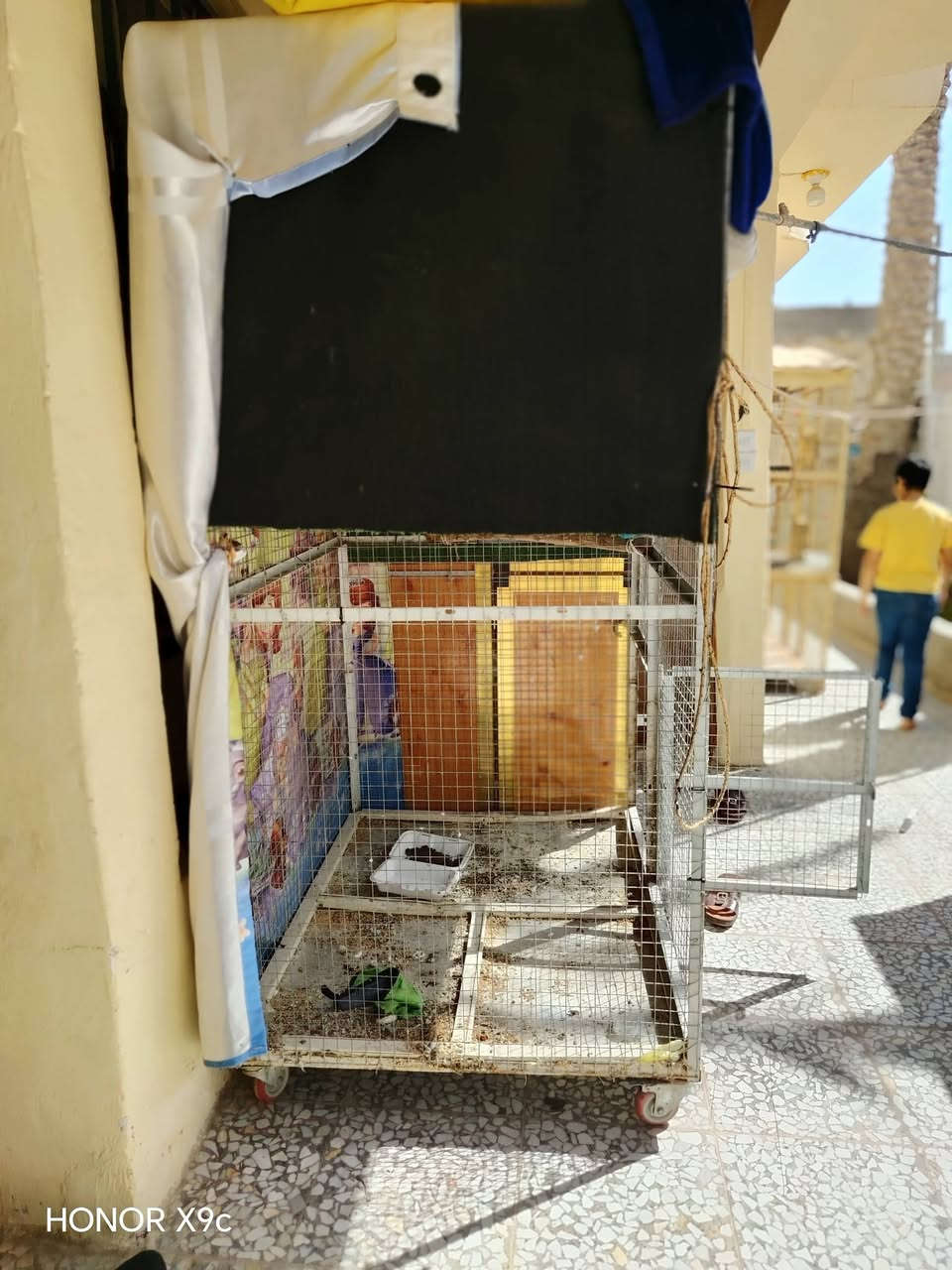 قفص محميه حديد مكان نجف سعره ب200 وبي مجال


**إذا كنت صاحب هذا الإعلان وتريد حذفه لأي سبب، رجاءا أرسل رسالة إلى الدعم الفني**