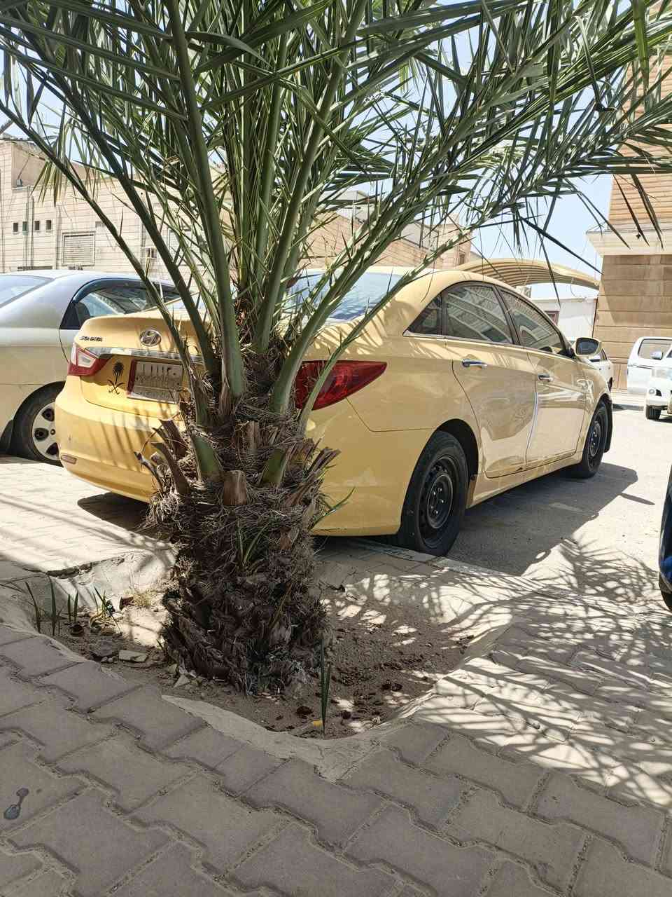 سلام عليكم سوناتا موديل 12 أمريكية مكينة كير تبريد خير من الله السياره مصفره غرامات وهيه رقم ذي قار المكان الناصريه قضاء البطحاء السعر 75وبيه مجال الشراي يتصل ***********

