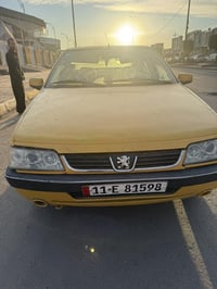 ٢٠١٣ • رقم بغداد • صبغ بلدي