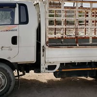 عندي كيه لعنده شغل او يعرف مصلحه لا يقصر وهاذ رقمي 07713939874