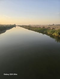 الديوانيه • الدغاره على الشط • ٢٠ دونم