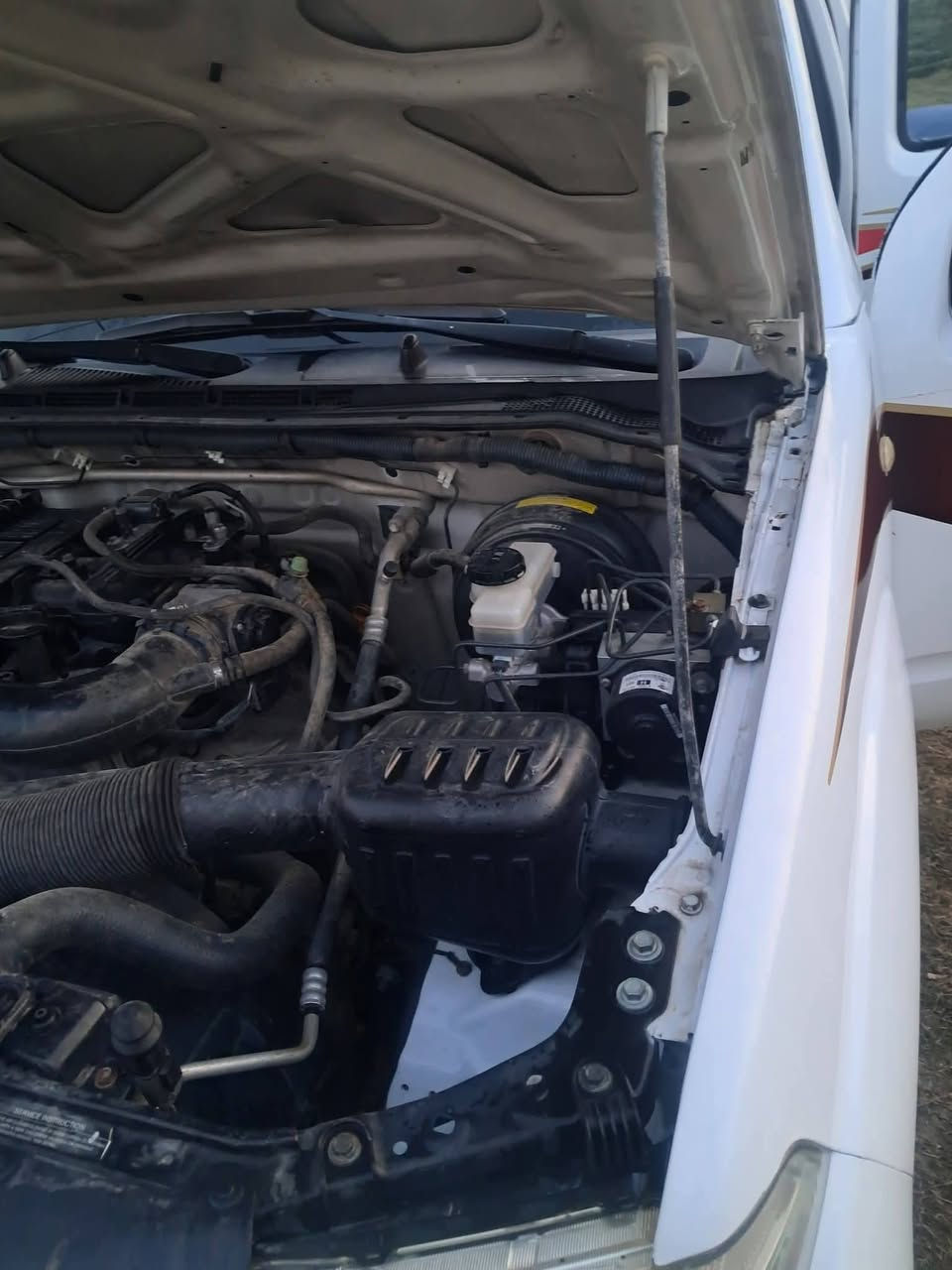 ناڤارە بـۆ فرۆشتن
2009 
رەقەم سلێمانی سەناوی تاکوو 28تازەیە 
گێرو مەکینی خۆیەتی تەرحە چوار تای تازە تەبرید ساردوو گەرەم بێ نووقسانی ماڵی دۆستە کامل بۆیخ نیە بە کامل ئەی فرۆشم ناو بەردەمی نەگەردە پێشەوی زۆر پاکە 
نرخی 75گەلاو معمەلە کەلارم 

***********
