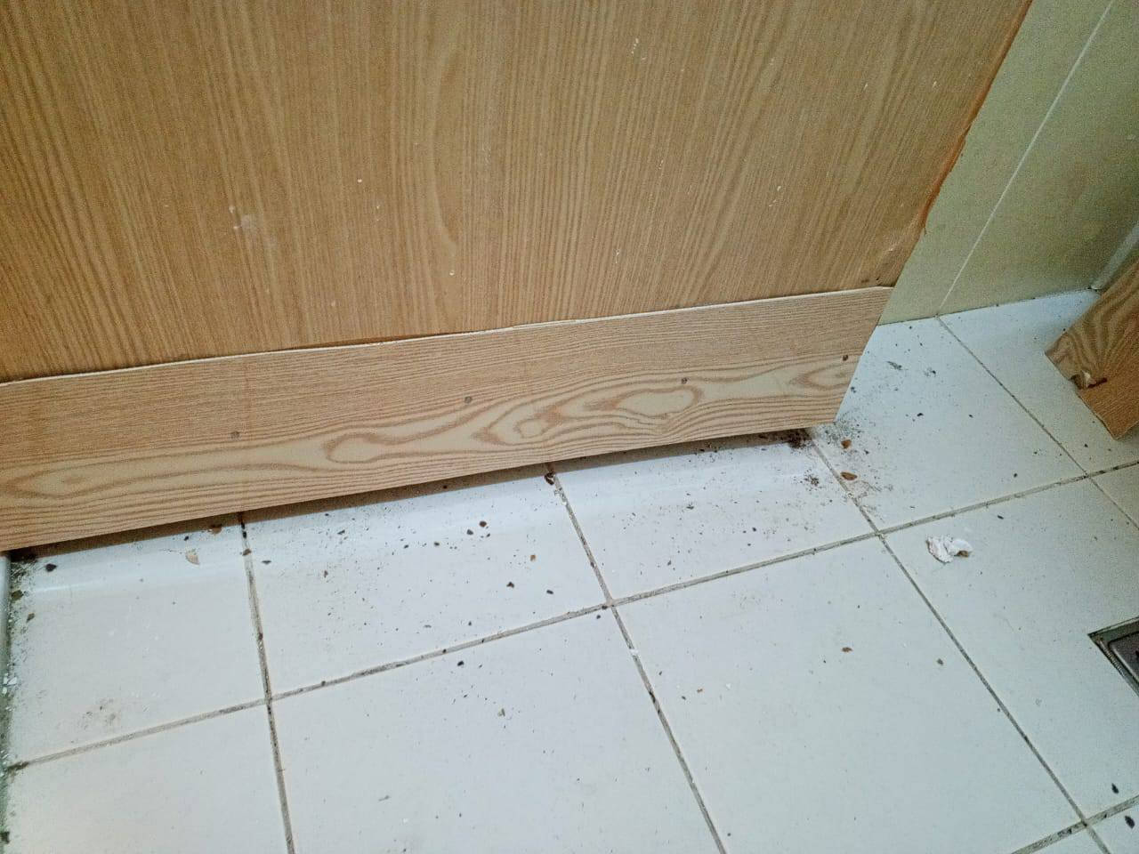 خدمات المعلم ضمان الشغل
١-  #تبديل واضافة نقات كهربائية وبراكيتات و تثبيت بلازما
وثريات بكافه انواعها .

٣- #تثبيت وفتح  مروحات سقفيه بكافه انواعها

4 _تبديل #وصيانه خلاطات بكافه انواعها 

5 _تبديل قفل #🔏 باب شقه داخلي  وخارجي 

6 _فتح وشد كافه #غرف 🛌 نوم

7-فتح وشكد ونتضيف #سخان شقه
صيانه بسمايه تبديل جام تصليح جهاز الكهربية كافه حداد متنقل تصليح جميع الغرفه التركيه ***********@ 
واتساب صباغ دراجه الاولى نقل اثاث دخال وخارج يوجد كيه نقل اثاث يوجد تكسي يوجد بيكم تبديل وصيانه جميع انواع الكاشي تصليح الضرار صبغ جميع  تغليف ابواب دخال وخارج تصليح جرس 🔔تصليح صوبات كهرباء تبديل هيتر تصليح صوبه غازيه تصليح فلتر ماي تبديل جميع نواع القفل الشقه 
*********** واتساب تلي
