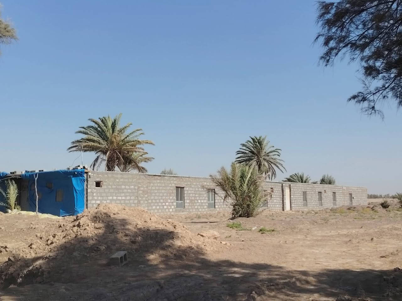 اللهم صل على محمد وآل محمد(ص)
إعلان أرض زراعية للبيع المساحة ٣٠ دونم
مع حقل دواجن ٥٠٠ متر مربع جاهز للعمل 
مع ٢ بيت بناء حديث
الموقع النيل مضخات كيش قرب مدرسة دمياط الابتدائيه
للاستفسار *********** 
***********
