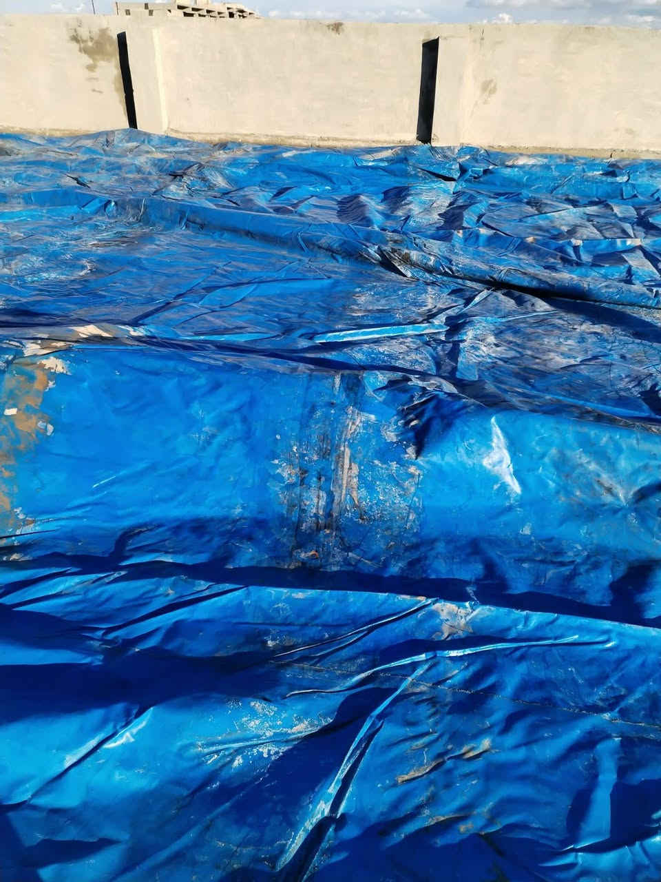 جوادر مستعملة موسم واحد لتغطية الحبوب نوع ثقيل القياس ( ١٤ في ٢٥ ) والنوع الأخر ( ١٤ في ٣٠ ) سعر الجادر ( ٧٠٠ الف ) قابل للتفاوض ( المكان في نينوى ) 
رقم الهاتف ***********
