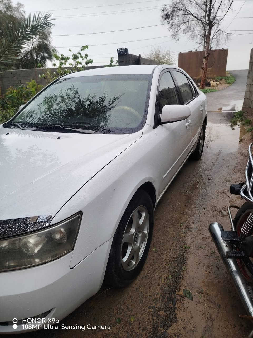 السلام عليكم ورحمة الله وبركاتة
سوناتا للبيع رقم صلاح الدين رقم نكليزي هزه جديده ابسمي تحويل ثاني يوم مديل. ٢٠٠٨مكينه 3000 6سنرندل السعر 110وبيهه مجال   مكان ديالئ الخالص النتصال ***********
