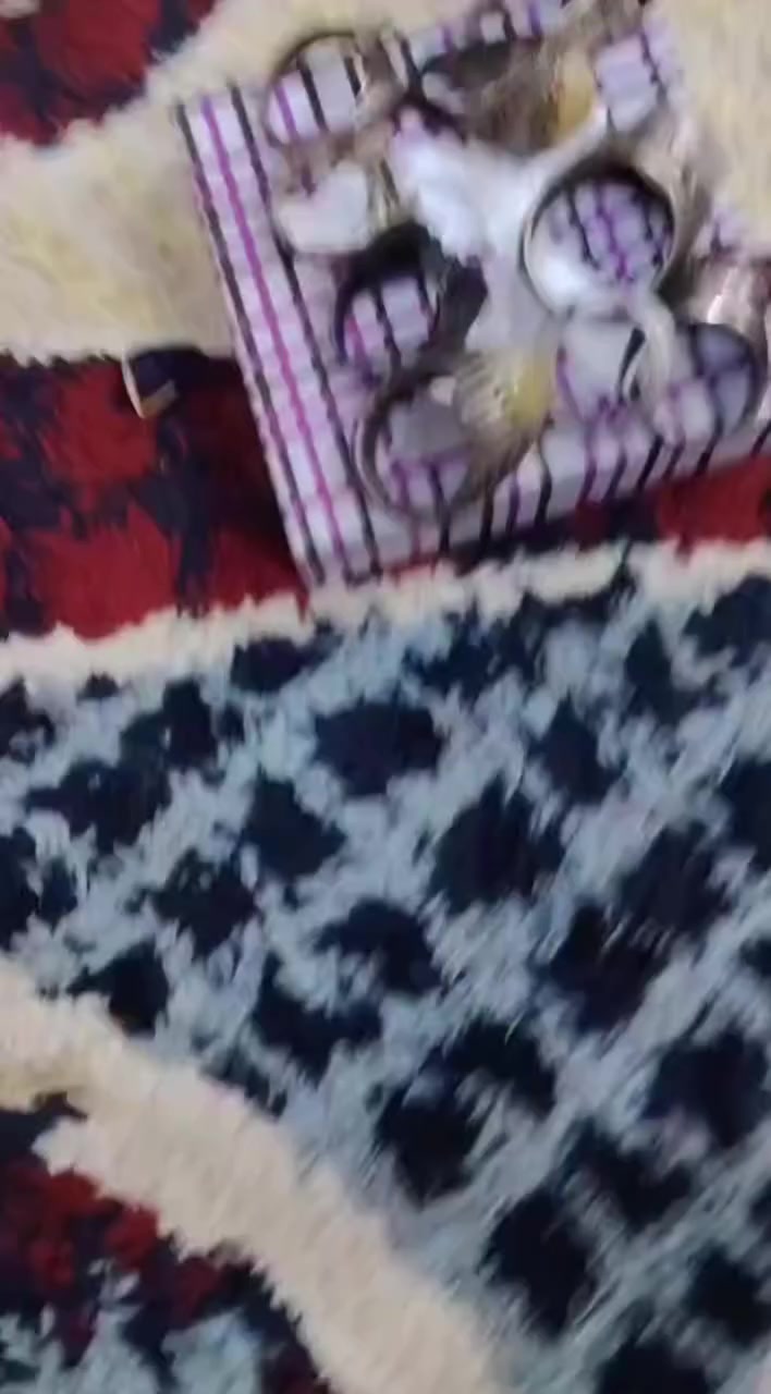 محابس للبيع  مكاني بغداد المعامل
رقم ‏‪***********‬‏
