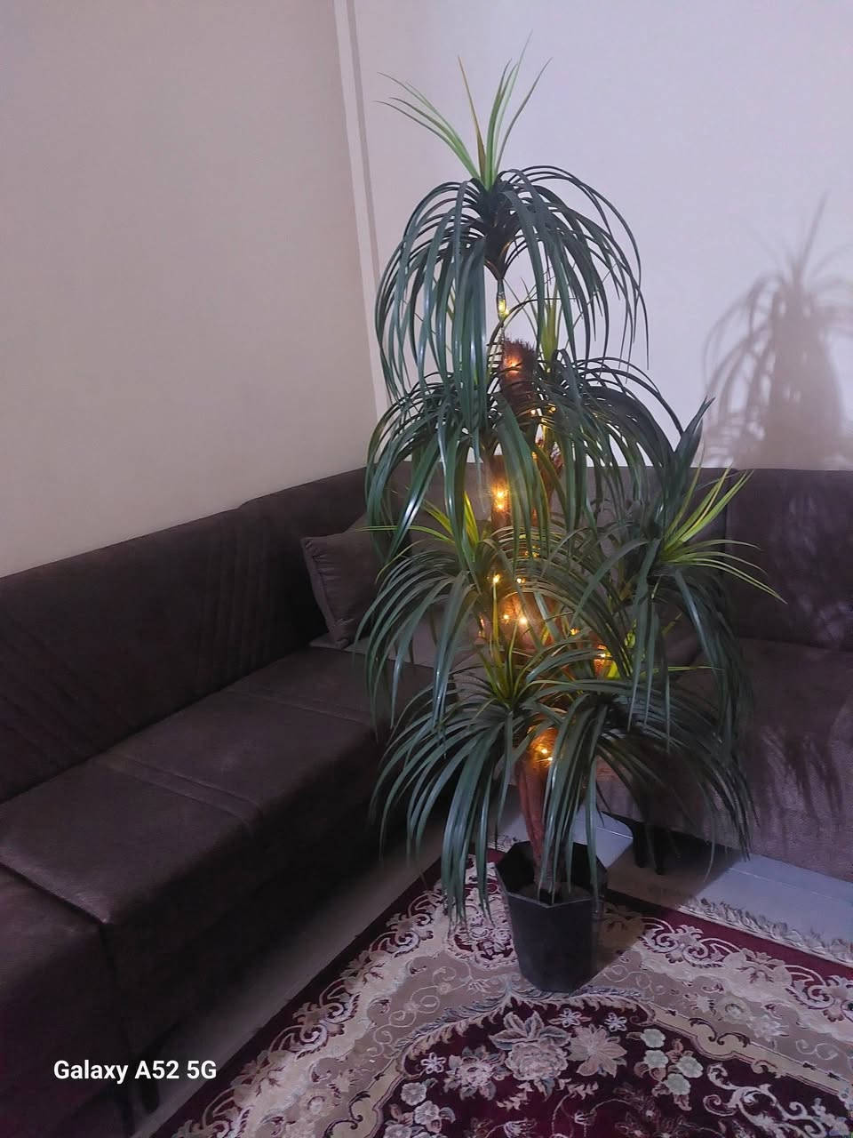 السلام عليكم للبيع شجرة كبيرة السعر ٣٥ المكان بغداد حي الضباط مقابيل بانزيخانه حي العامل


**إذا كنت صاحب هذا الإعلان وتريد حذفه لأي سبب، رجاءا أرسل رسالة إلى الدعم الفني**