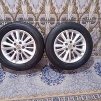 شاهينه بلادي • ويل 16 • مع تاير