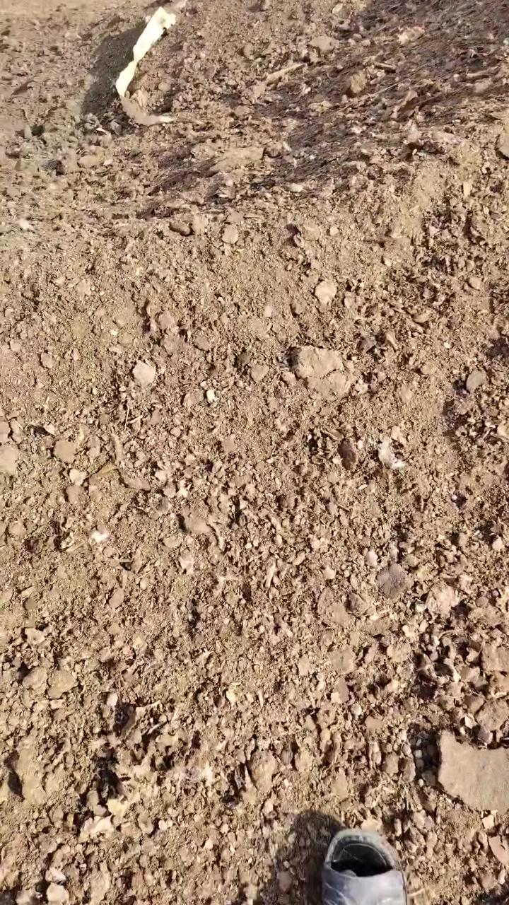 السلام عليكم يوجد دمن دواجن نضيف فول هاذه الرقم***********. ***********
