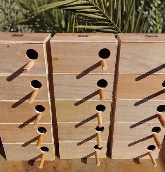 يتوفر لدينا بيت غندور معاكس ١٠ ملم قياس ٣٠×١٤×١٤ باب قلاب .  
العنوان بغداد الحسينيه للطلب والاستفسار مراسلة الصفحه او الاتصال على الرقم التالي ***********📞📞💬💬⏰️⏰️🔥🦜🦜
