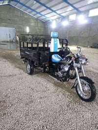 ستوته • سوده • ٢١/٢٢