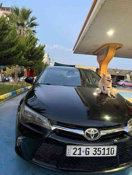 سلام عليكم للبيع كامري فول فول رقم سليمانيه كير محرك شرط سيارا بيه مكانين بارد و بونيد مبدل نفس لون ايرباك راجع سستم سعره 168 وبيه مجال *********** مكان سيارا كركوك قضاء داقوق  محرك افلون V6
