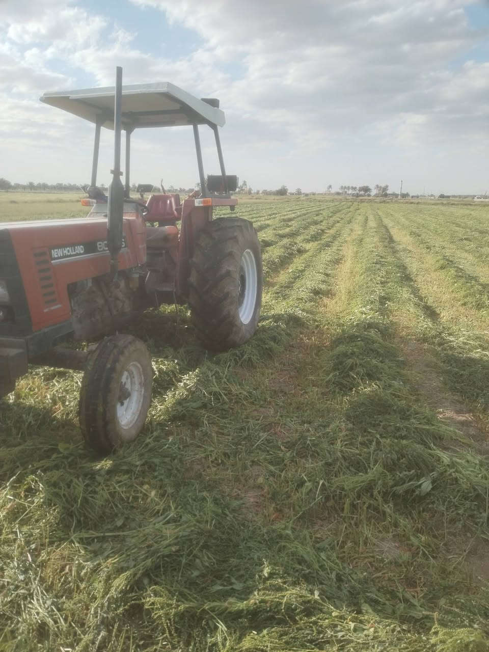 سلام عليكم مكينة فيات موديل2002جاهزة من كل شي مكاني بغداد ابو غريب سيطرة 40 مدخل السعر 15رقمي *********** (***********
