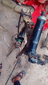 شاصي • ٢٠٢٤ • نضيف