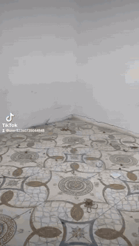 منطقة ٢٧٠دار • ١٠٠م • غرفتين