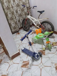 مجموعة دراجات • بصرة ابو صخير