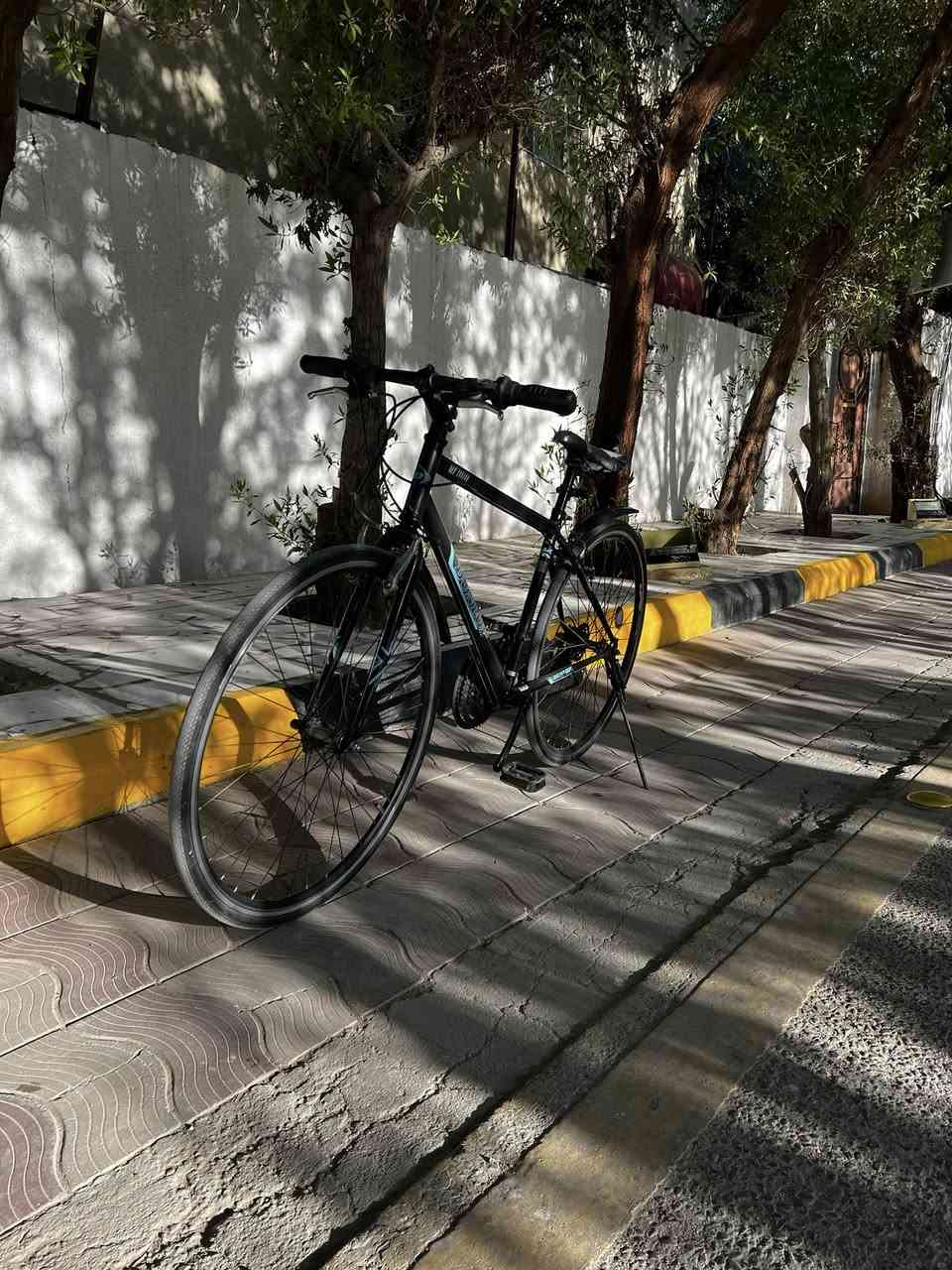 اسلام عليكم باسكل رياضي رحال للبيع باسكل نظيف وحلو بس تاير الكدام بي بنچر غيره مابي شي سعر قيم بما يرضي الله مكاني كربلاء حي الحر *********** بس رقم تواجدي
