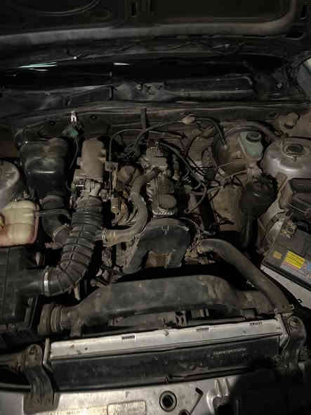 السلام عليكم برنس موديل 95 السعر 35 وبيهة مجال ***********
