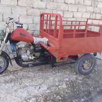 ستوته • شغاله • بلشوره