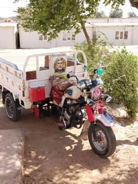 ستوته • ٢٠١٩ • نضافة