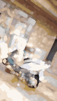 بكير ماكس • ٤٩ • بلدي