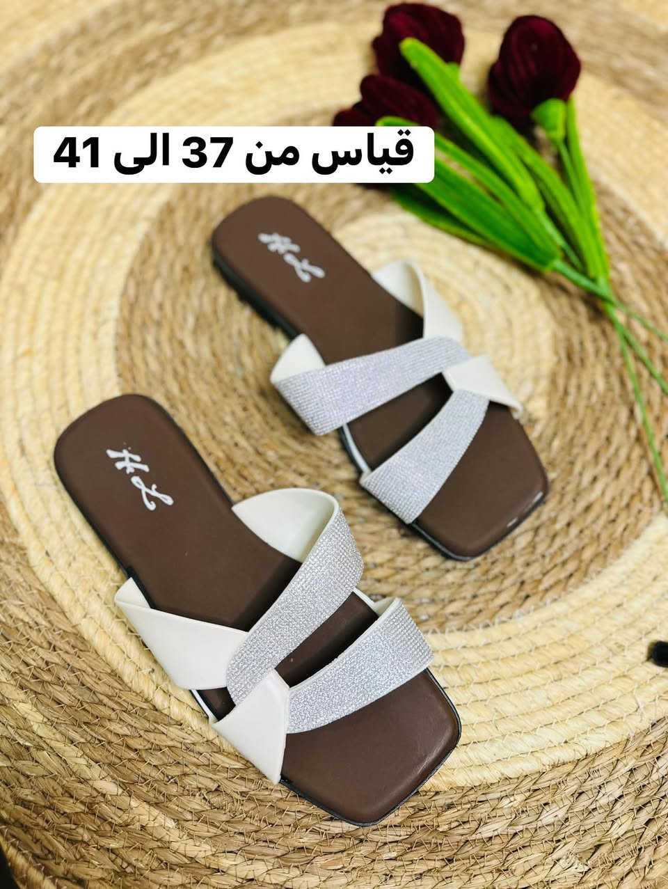 سلبرات 
ولادي + نسائي + رجالي 🫰🏻

قياسات داخل الصوره


**إذا كنت صاحب هذا الإعلان وتريد حذفه لأي سبب، رجاءا أرسل رسالة إلى الدعم الفني**