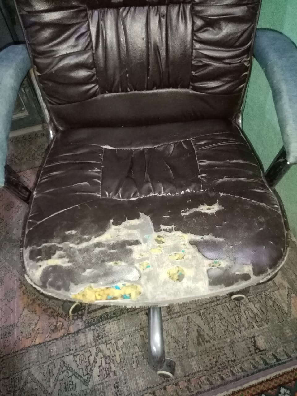 السلام علیکم كرسي دوار يتعله ويتنصه سعره بما يرضه الله وأني ممنون


**إذا كنت صاحب هذا الإعلان وتريد حذفه لأي سبب، رجاءا أرسل رسالة إلى الدعم الفني**