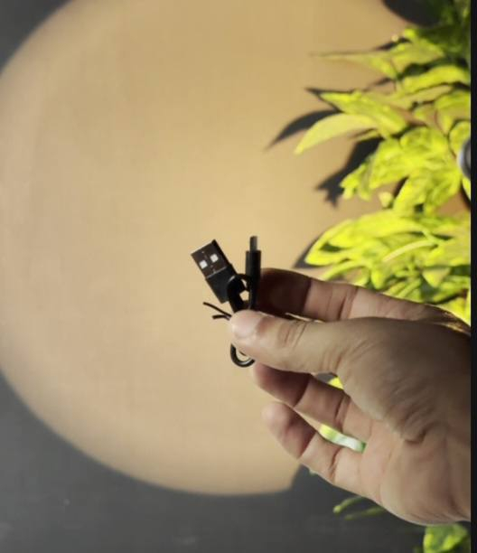 اطي سعر و بالعافية عليك 

مكينة حلاقة شغالة و اطيك بية ضمان 
تشتغل على شحن
يجي وياة زيت و فرشة للتنضيف 
و مجموعة امشاط 
جديدة 
مو من الامزون


**إذا كنت صاحب هذا الإعلان وتريد حذفه لأي سبب، رجاءا أرسل رسالة إلى الدعم الفني**