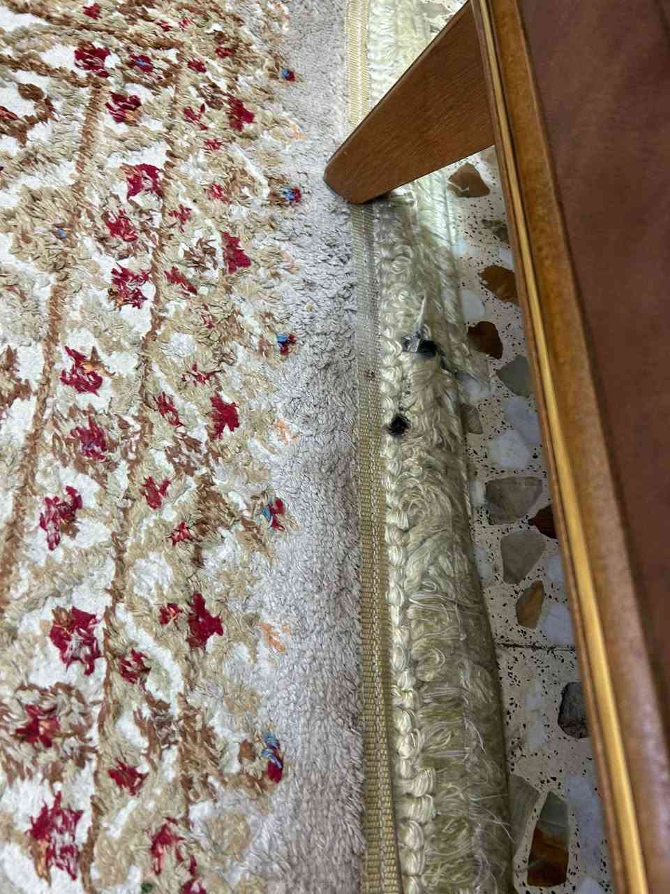 زوليه كاشان تركي بس بيه هذا عيب صغير قياس 2 ونص في 3 ونص قفل 80 ألف العنوان الأعظمية


**إذا كنت صاحب هذا الإعلان وتريد حذفه لأي سبب، رجاءا أرسل رسالة إلى الدعم الفني**