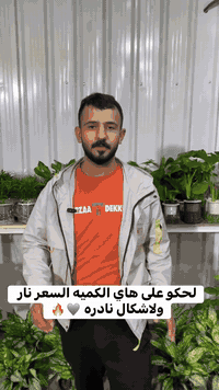 ‏زبائنً الكرام متوفر  من مشتل الفهد كل نباتات الداخليه وعروض تلفيش🔥🪴  ...