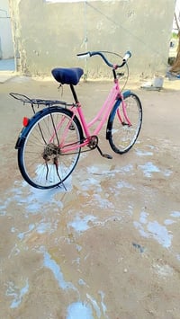 بايسكل • مكفول • غراف