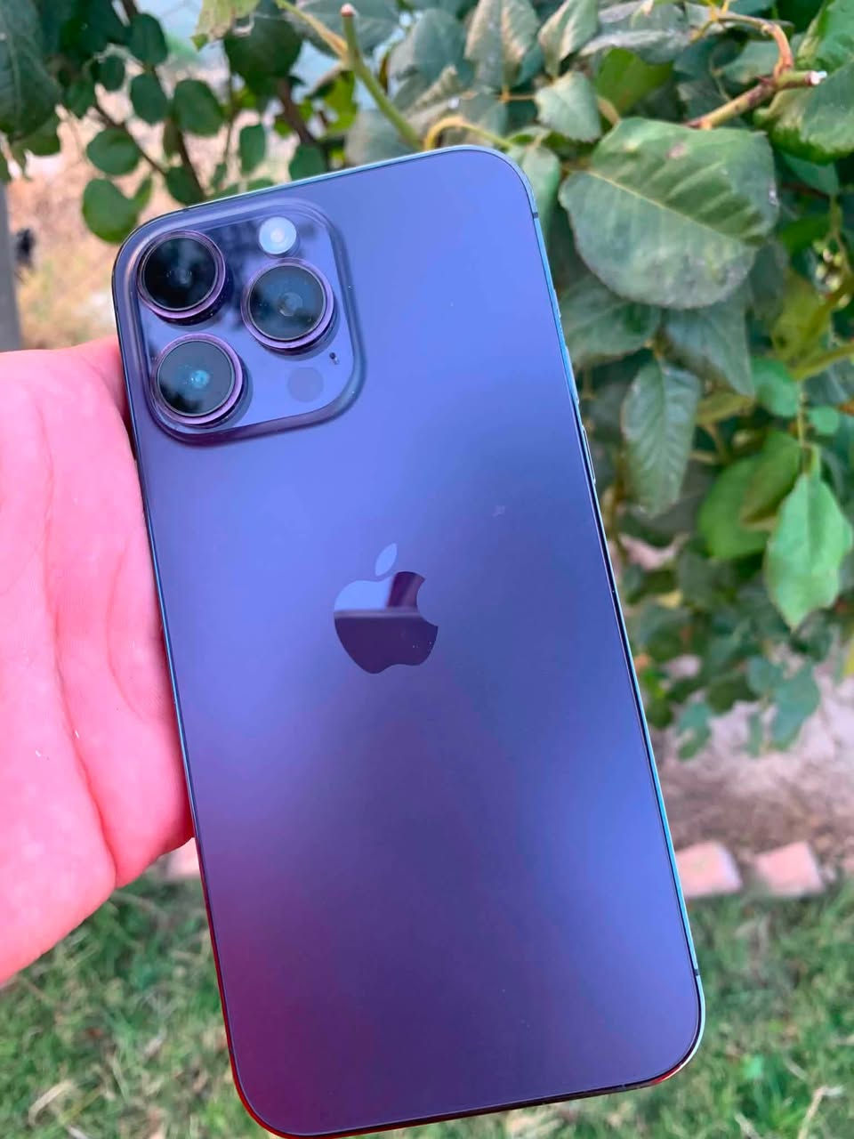 ايفون 14 برو ماكس
ذاكرة 256
بطارية 85
مبدل شاشه اصليه شرط 
شرط فول نظافه
مراوس أب 13برو ماكس او للبيع 600 او بي مجال
***********
