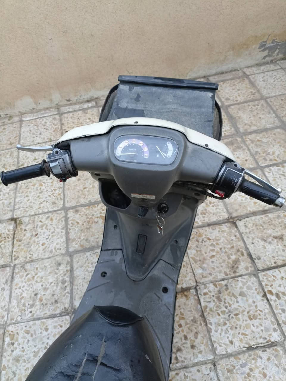 دراجه منغولي كلشي شغال بيها اشاير و هورن و لايت بس سلف ماتشتغل شاصي مكفول  بيع او مراوس بذبانه بطه  مكاني كربلاء حي العسكري
***********
