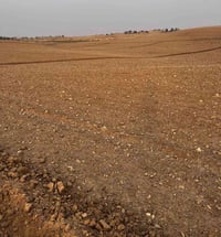 قزفخرة • سند 25 • شرط التحويل