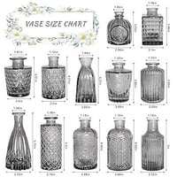 ڤازات زرع • ١٢قطعة • ديكور