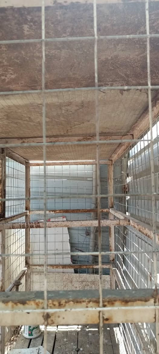 سلام عليكم قفص تفصال درجة اولى ثقيل جدا قياس كبير ارتفاع 180 عرض 2.5 عمق 1 للبيع بسعر مناسب للعلم مكلفني 350من سويته المكان بغداد الحسينية شراي ع خاص


**إذا كنت صاحب هذا الإعلان وتريد حذفه لأي سبب، رجاءا أرسل رسالة إلى الدعم الفني**