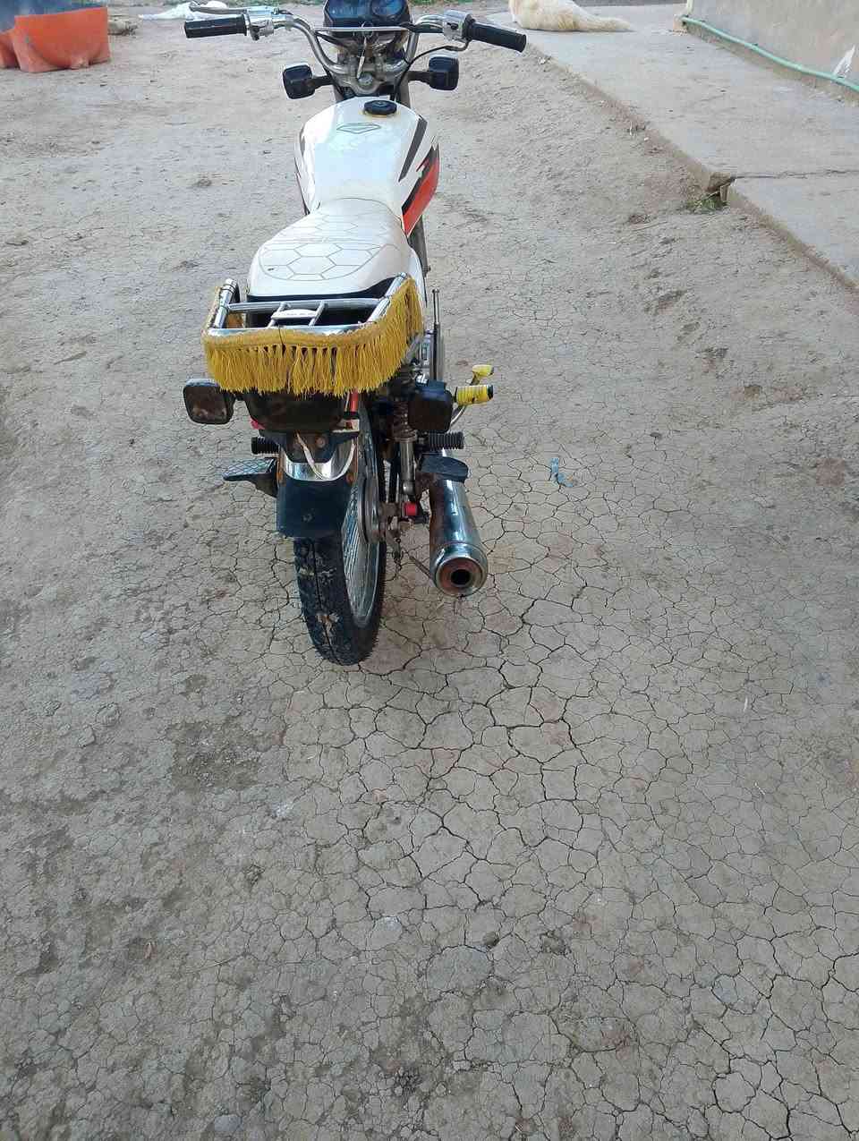 اسلام عليكم شباب عندي دراجه تايكر ما متعوب شلع الدراجه حلوه ومرتبه اوراق اصولي دشبول الكتروني دبشاير اضويه عالي ناصي كله شقال السعر 375او بيها مجال المكان بابل اجبله وحياكم الله هاذا رقم الهاتف ***********موديل 19
