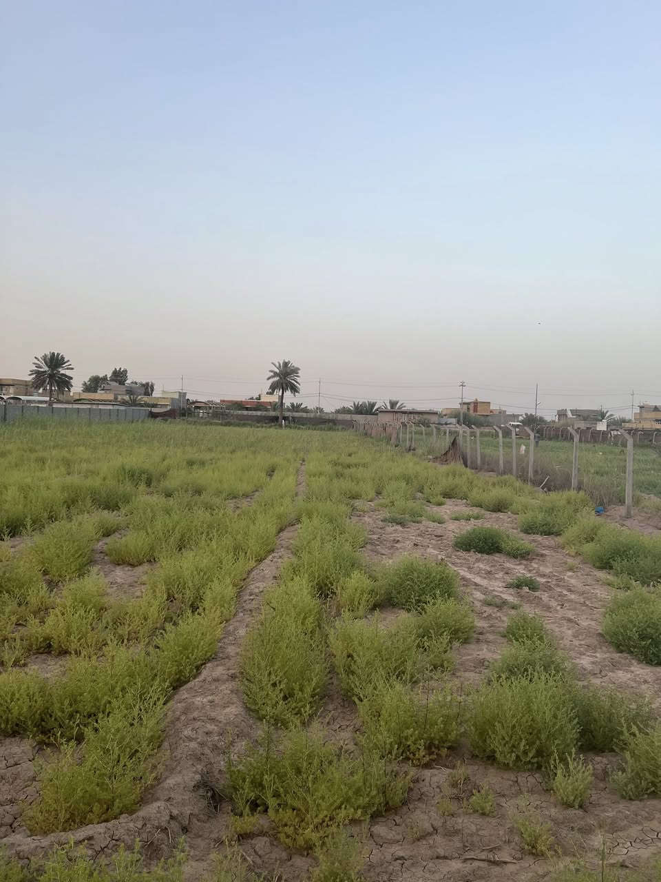 2دونم للبيع طابو زراعي سند 25باسم البائع

عالشارع سنتر مسيج من اربعه جهات

خدمات كامله ماء كهرباء تبليط

الموقع //ورديه داخل منطقه الامام

للاستفسار اكثر الاتصال على الرقم 

***********
