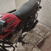 بوكسر • ٢٢ • رقم وسنويه
