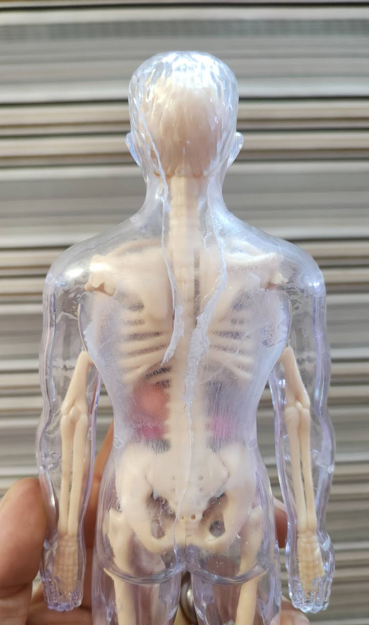 للبيع سعر ١٥ العنوان ناصريه مركز كسر واضح


**إذا كنت صاحب هذا الإعلان وتريد حذفه لأي سبب، رجاءا أرسل رسالة إلى الدعم الفني**