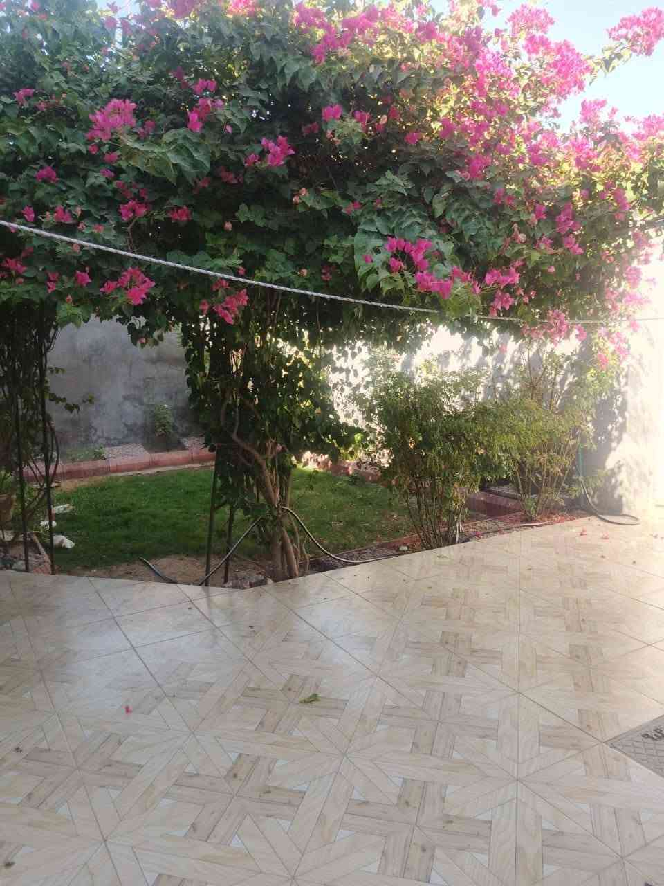 سلام عليكم بيت البيع مساحته 200 للبيع قرب مول ابو نور عله شارع تلاثين يحتوي على غرفتين 5*4 صاله ومطبخ 6*4 واستقبال 7*4 رباط ارضى صب كونكريت رباط فرق الشبابيك صب كونكريت وسقف صب كونكريت كل الخدمات موجوده ماء كهرباء مجاري تبليط التواصل على الرقم ***********
