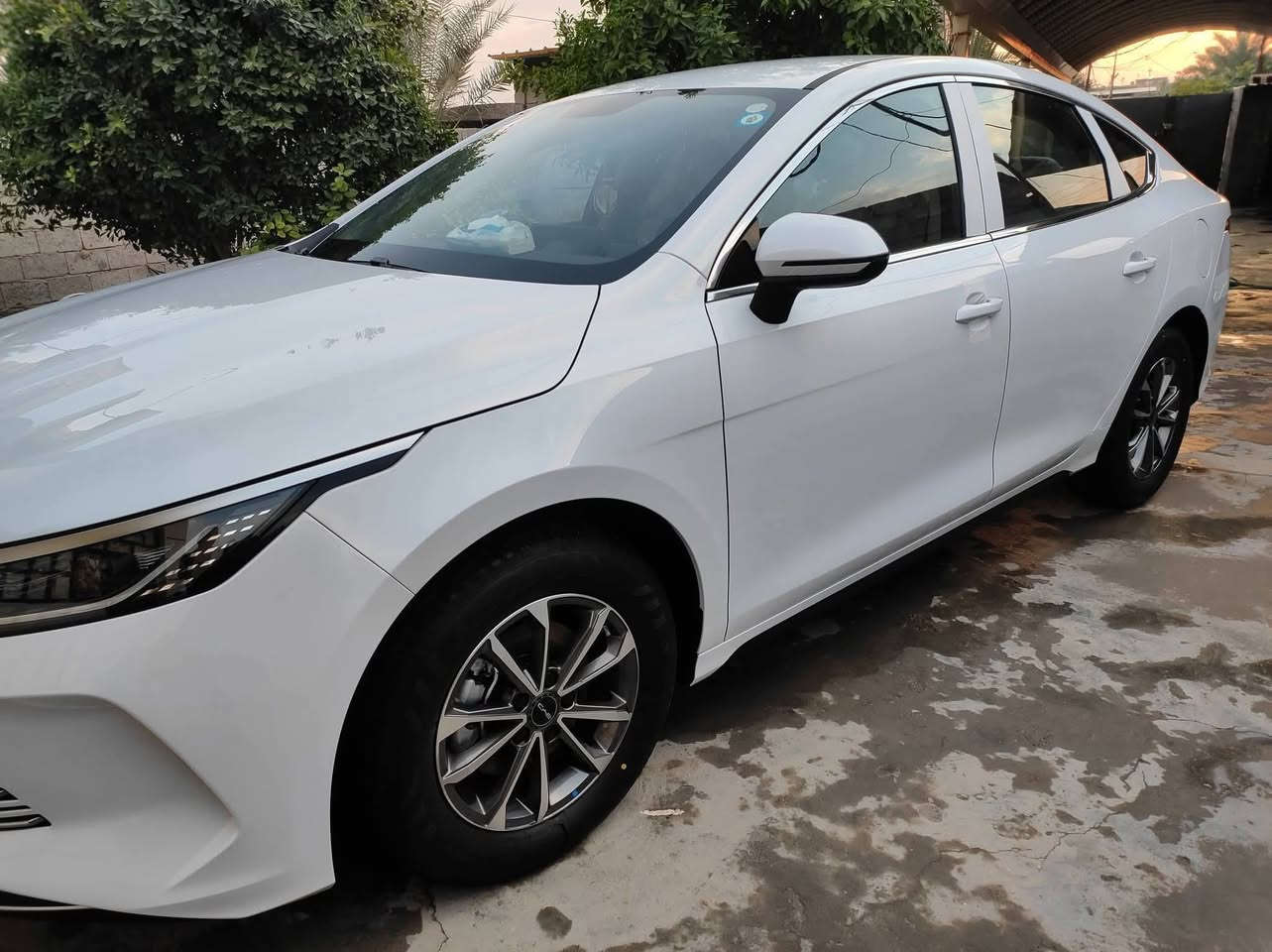 السلام عليكم
BYD دستريور ٢٠٢٥
عداد المسافه الكلي ٩٠٠٠
جاهزه ومبيها اي نقص أغراضه  كامله
رقم بغداد تحويل مباشر
سعر ١٧٧٥٠
ملاحضه بيها فقط باب خلفي بيها رصعه بصيطه جدا
شراي اتصل وتدلل
***********
