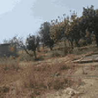 طريق اليلان • ٢٠٠٠م • بستان مثمر