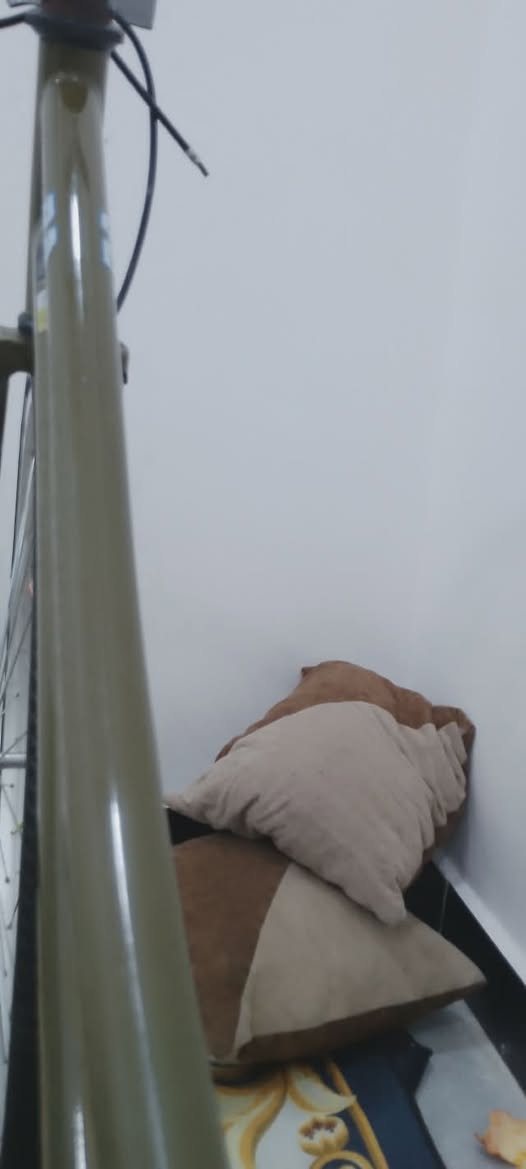 بيسكل سياحي نضيف  للبيع سعره ١٢٠ وبي مجال
المكان الجزيره رقم الاتصال   ***********
