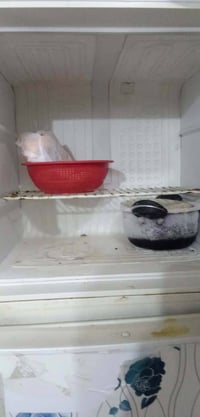 ثلاجة • شغالة • ١٠٠