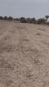 للبيع قطع اراضي زراعية في منطقه اركيه وفاضل اتصال فقط 
***********
