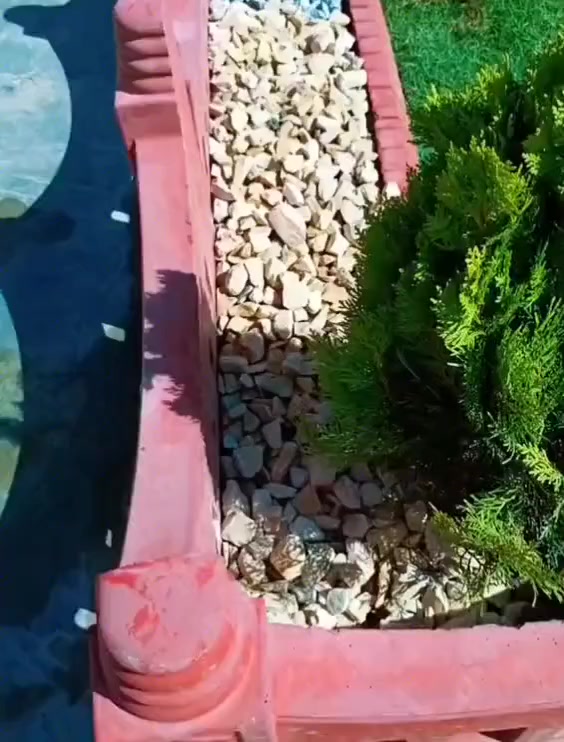 (اللهم صل على محمد وال محمد )
السلام عليكم يتوفر للديكور حدائق وتوصيل الباب البيت استفسار مراسل الصفحة او الاتصال على الرقم ***********
