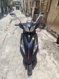 ثعلب • مكفوله • الزعفرانيه