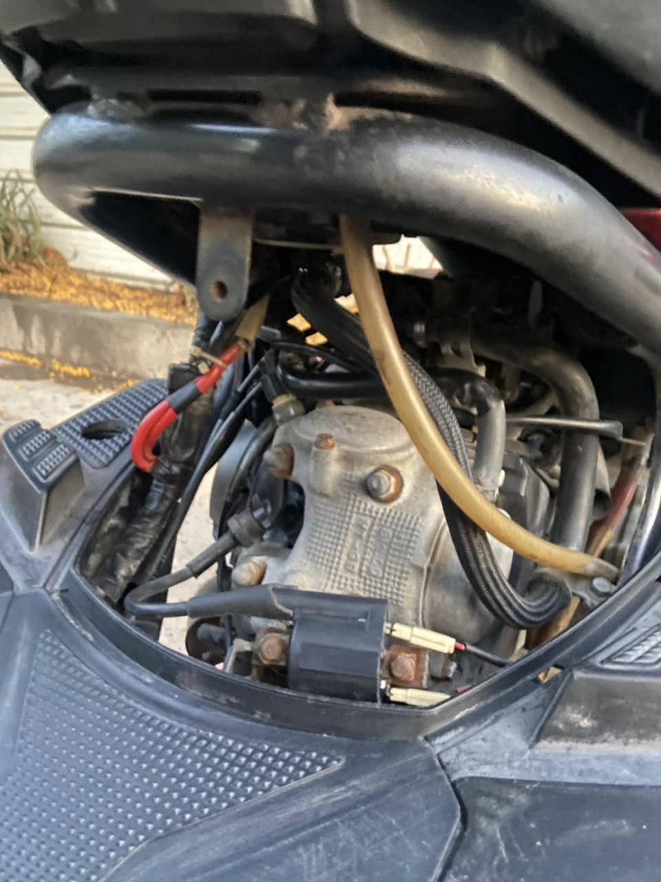 سكنس جبلي بلاديه للبيع بيها مكينه خير من الله ما مفتوحه ب900 او بيها مجال وتساب ***********
